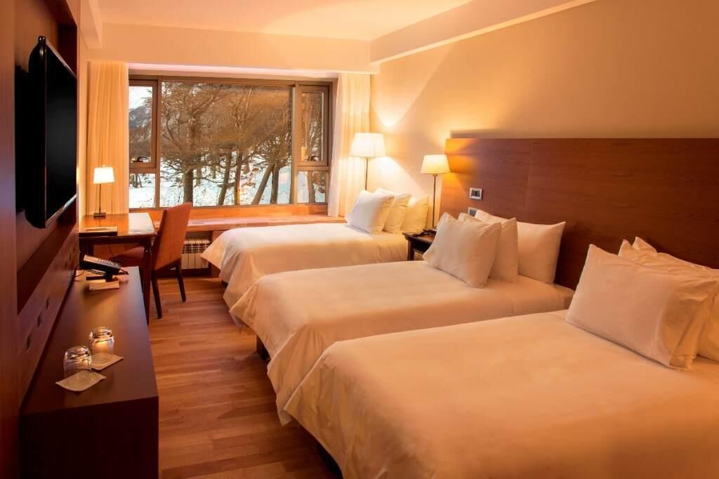 Roupas de cama de algodão egípcio, roupas de cama premium