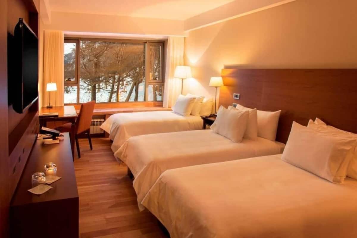Habitación de hotel con dos camas, un escritorio, televisión y ventana con vista a árboles.