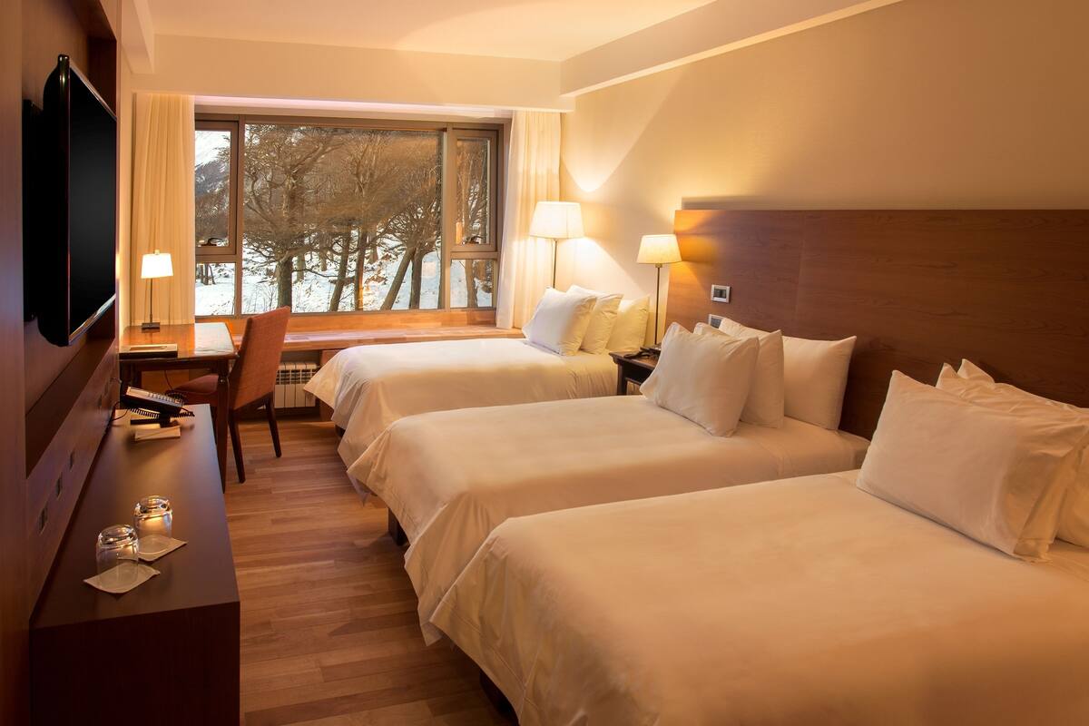 Habitación de hotel con dos camas, un escritorio con silla, televisión y ventana con vistas a árboles.