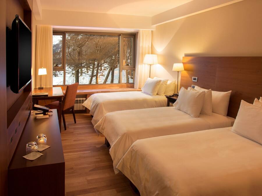 Habitación de hotel con dos camas, un escritorio con silla, televisión y ventana con vistas a árboles.
