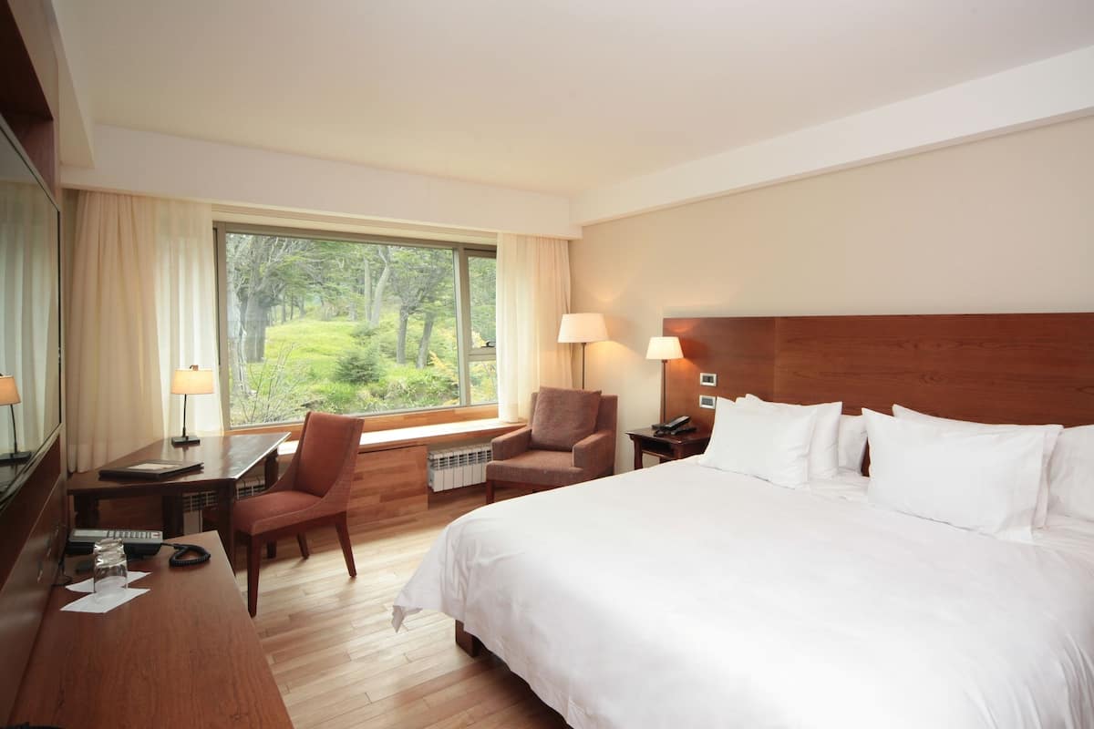 Habitación de hotel con una cama grande, un escritorio con teléfono, una silla y una ventana con vista a zonas verdes.