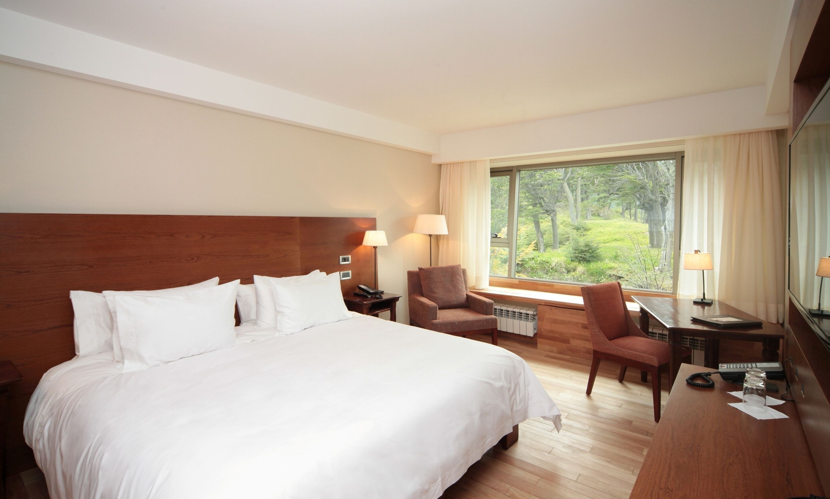 Habitación de hotel con una cama grande, dos sillones, un escritorio y una ventana con vistas a zonas verdes.