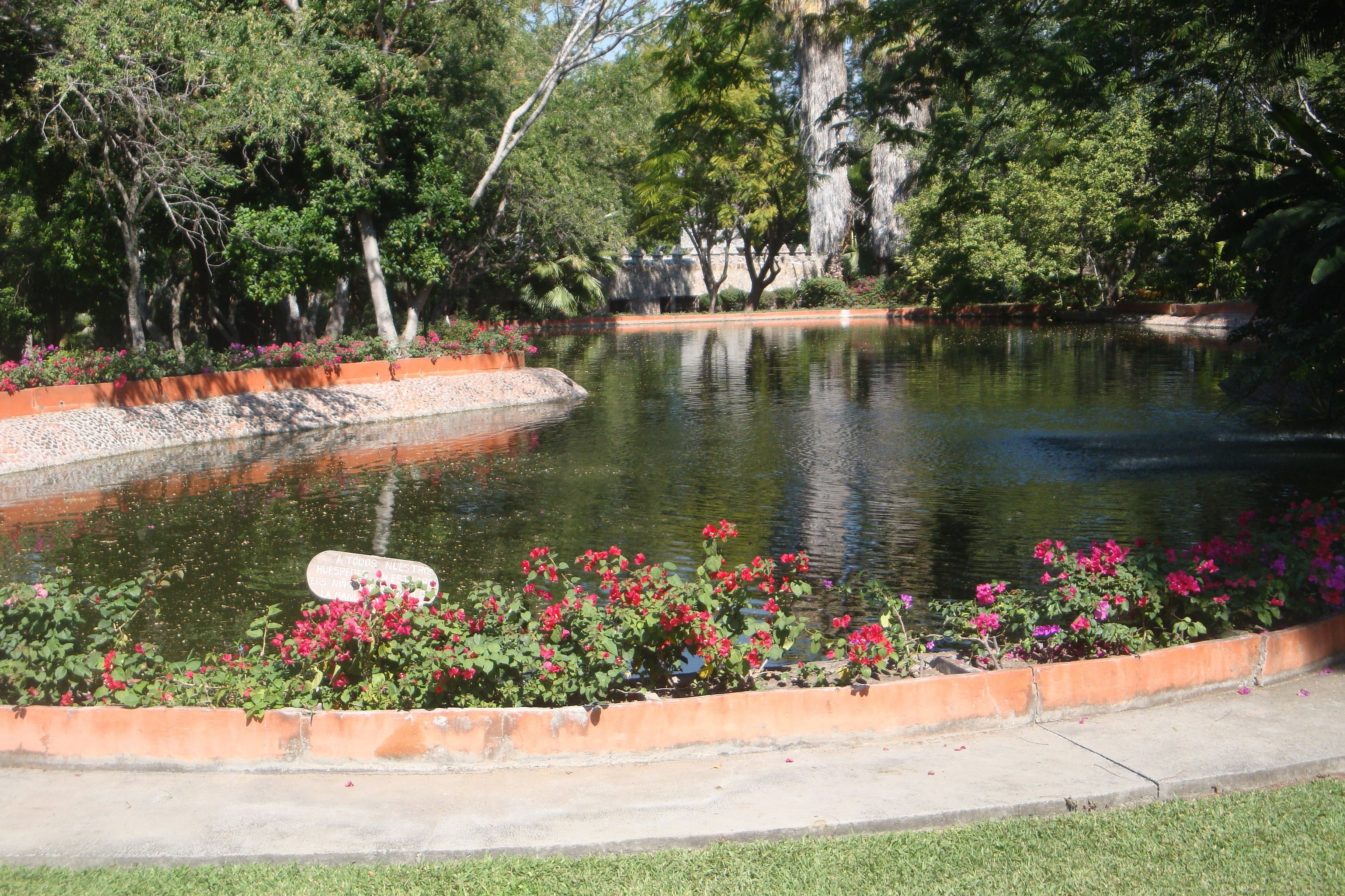 Un estanque tranquilo rodeado de exuberante follaje y flores vibrantes.