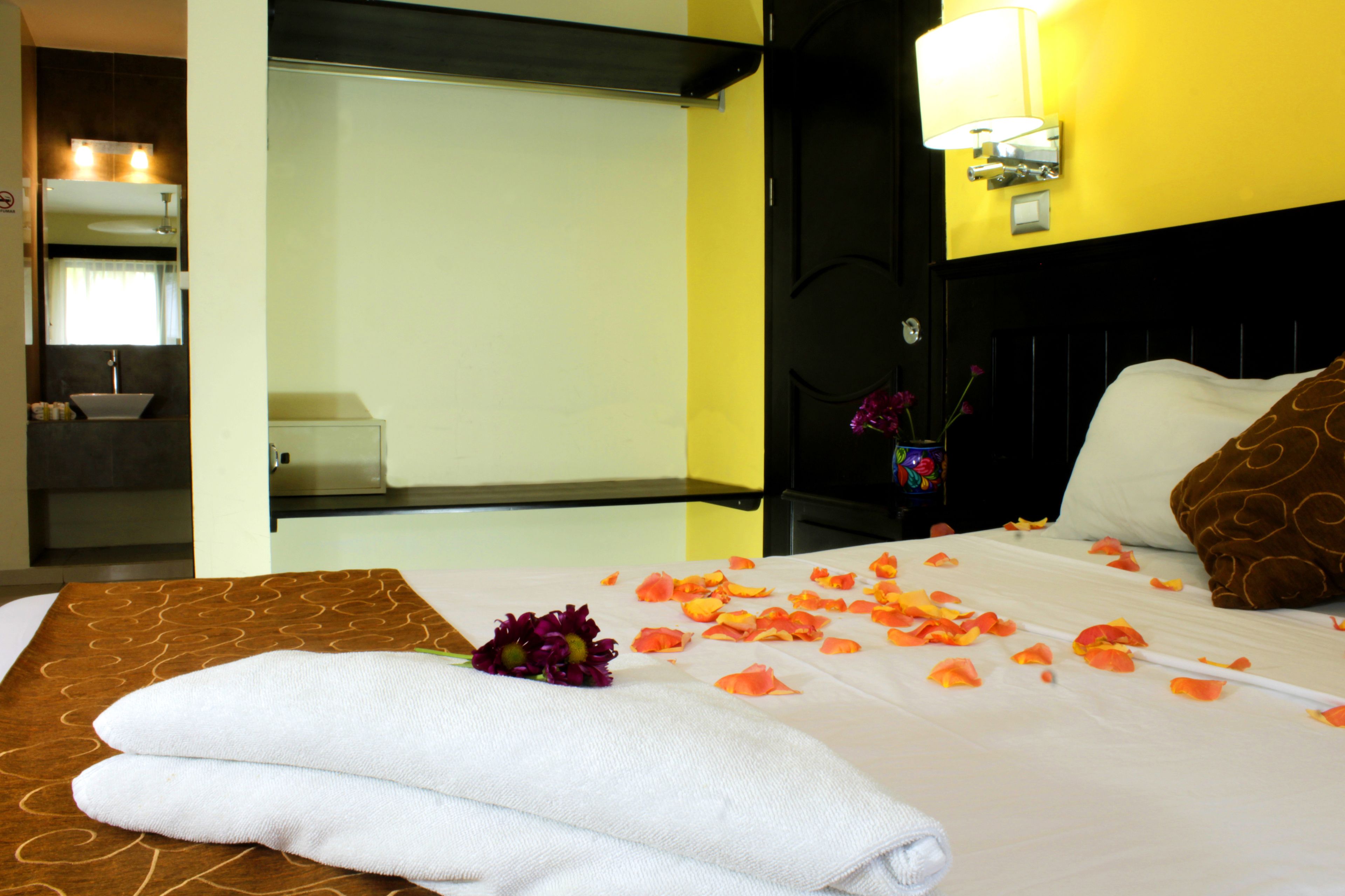 Photo - Hotel Nautilus