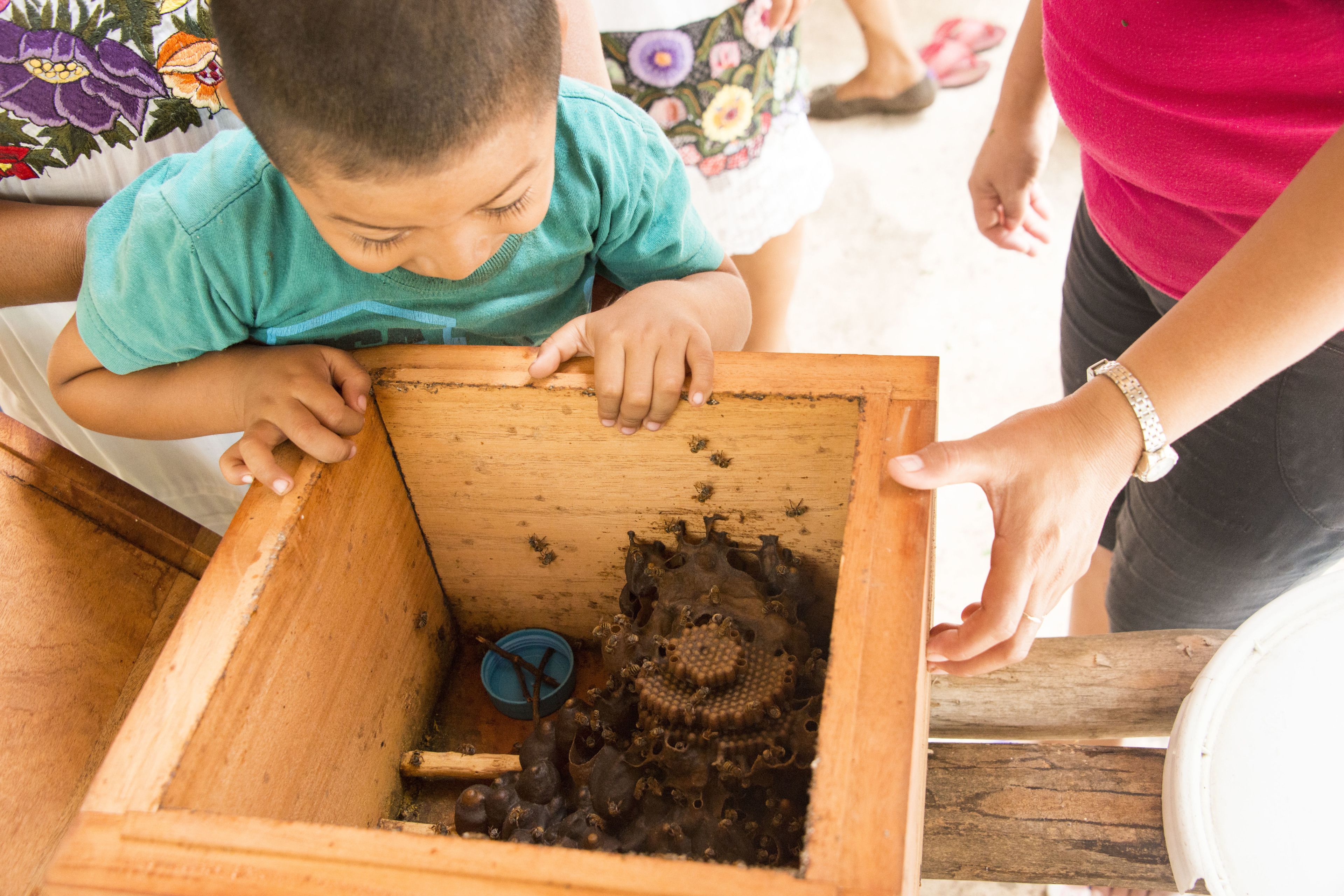 children’s activities