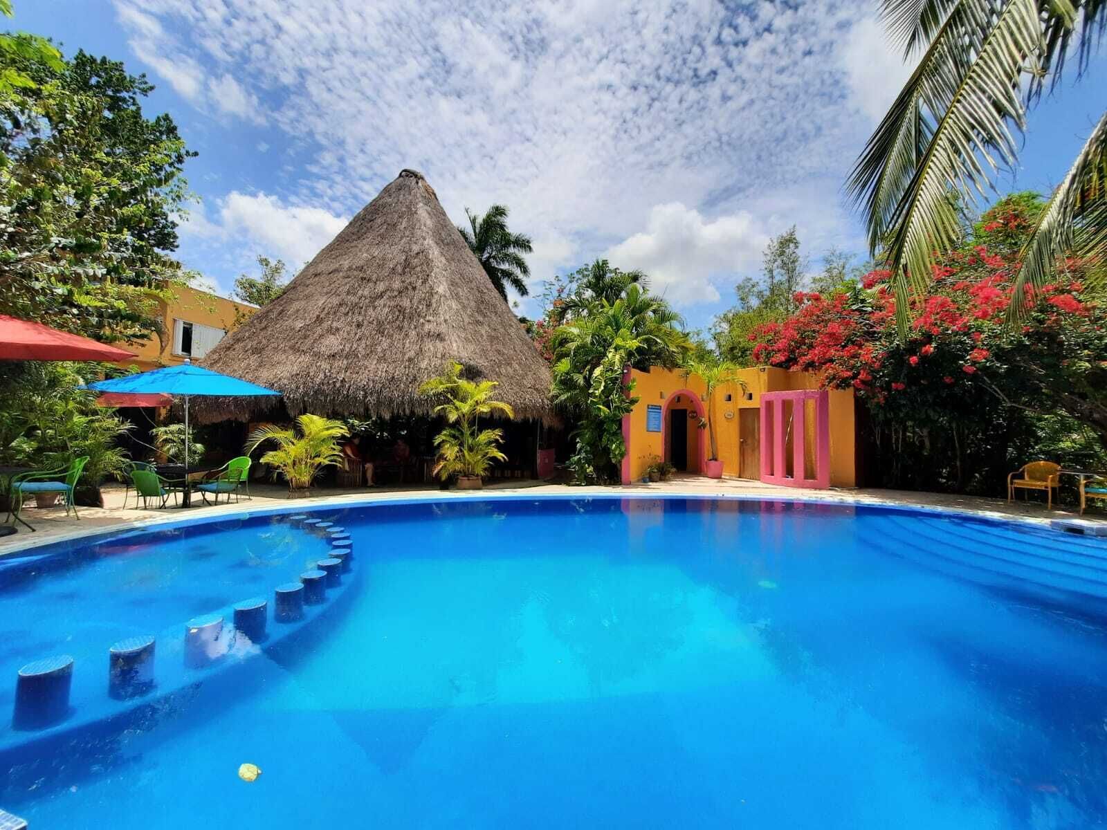 outdoor pool, pool loungers