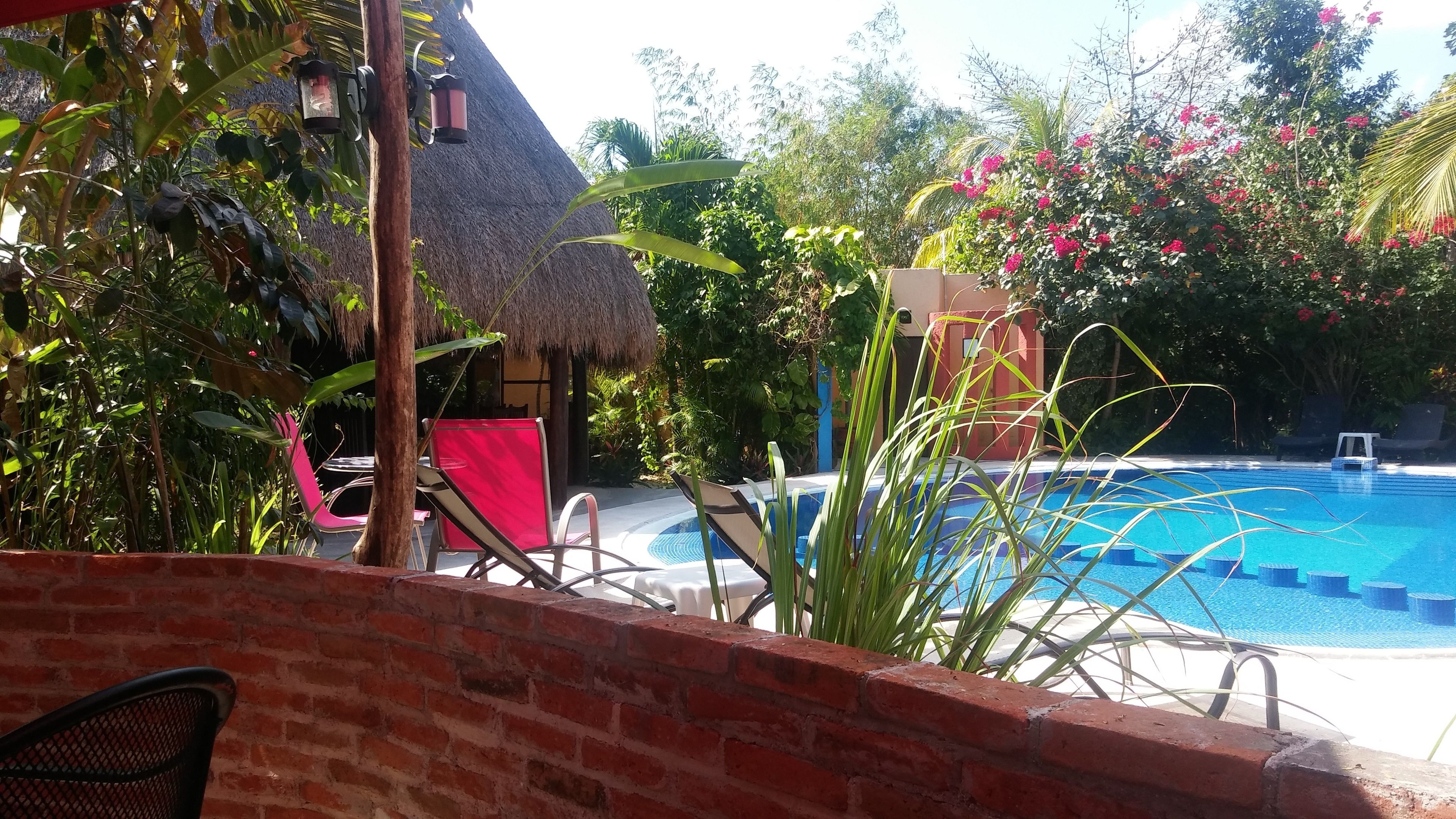 Un área de piscina con sillones, una estructura de techo de paja y abundante vegetación.