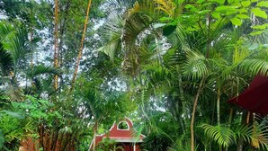 A pathway leading to a red building surrounded by dense tropical foliage. - Casa Don Diego (Tulum)