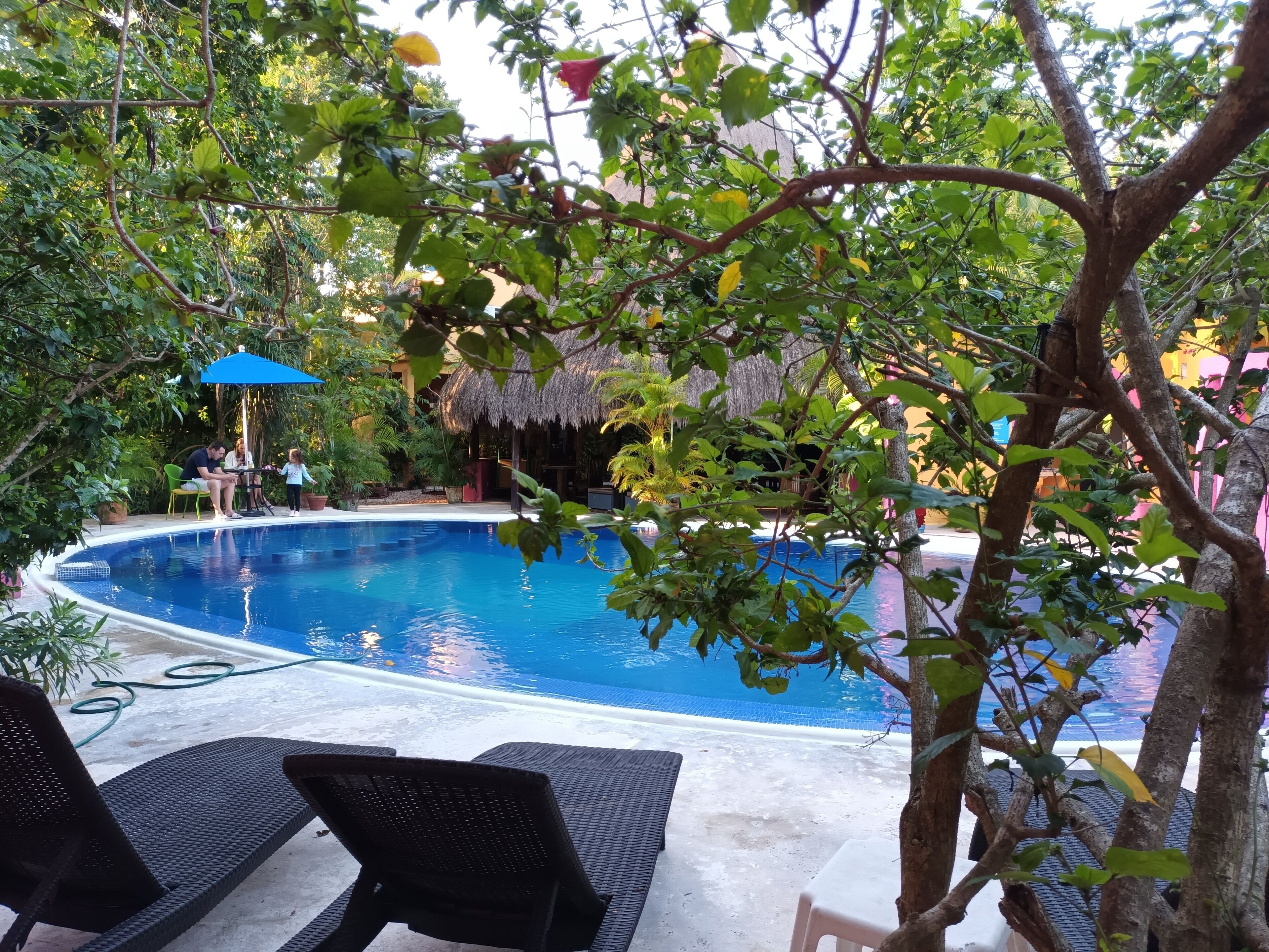 outdoor pool, pool loungers