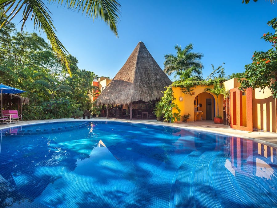 Outdoor pool, sun loungers