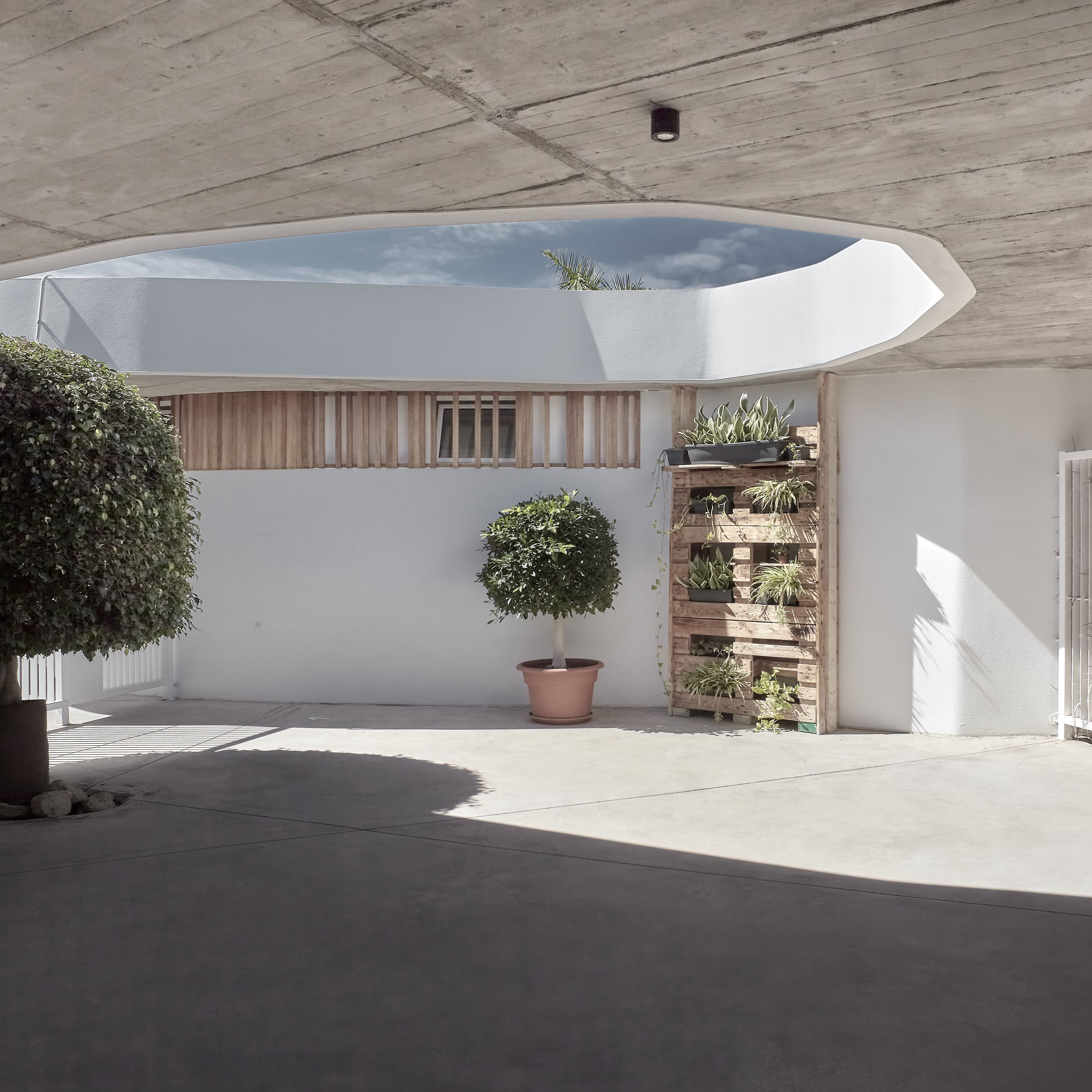 Un patio moderno al aire libre con techo de hormigón, plantas en macetas y un muro de jardineras de madera.