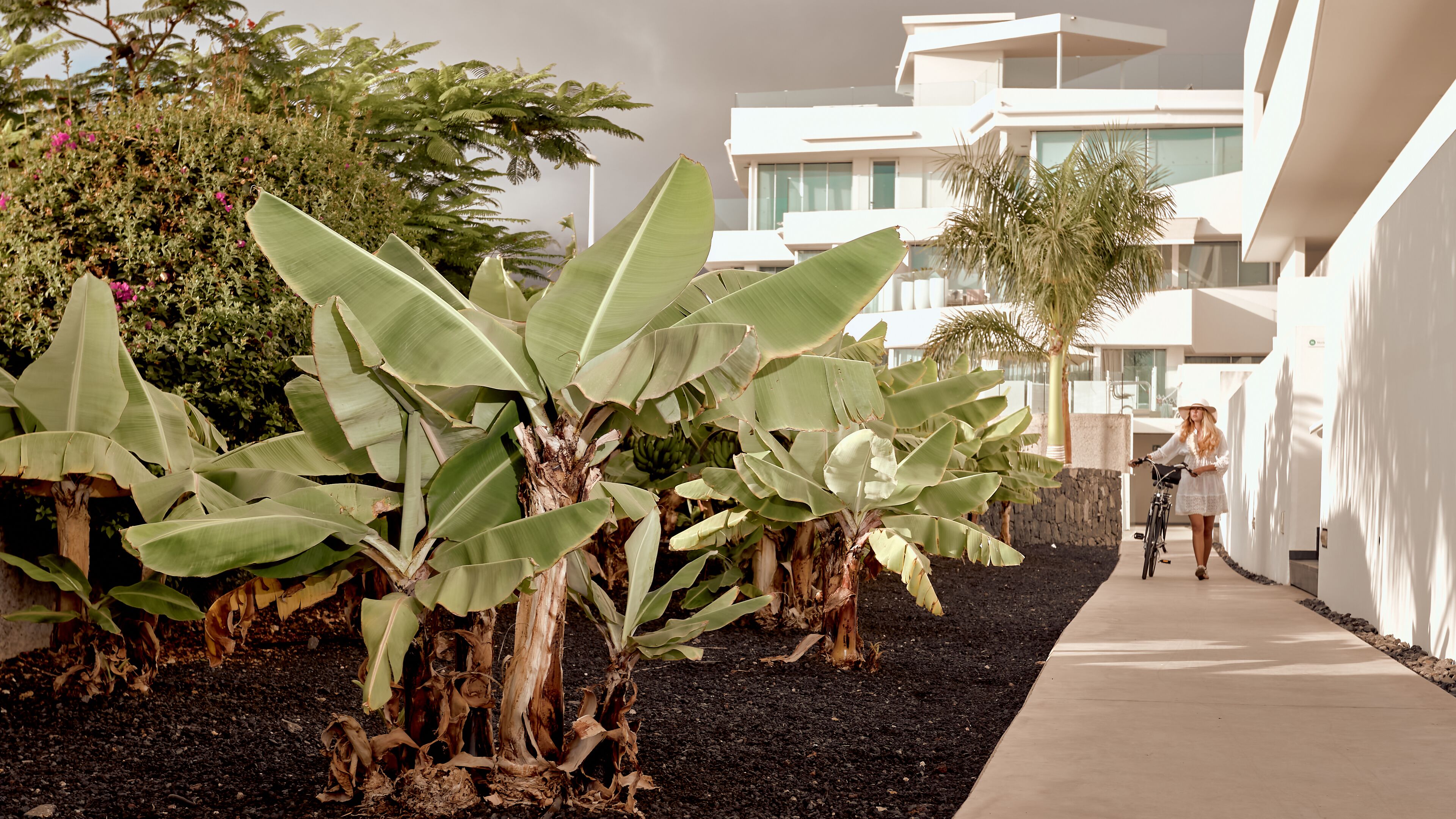 Foto - Hotel Baobab Suites