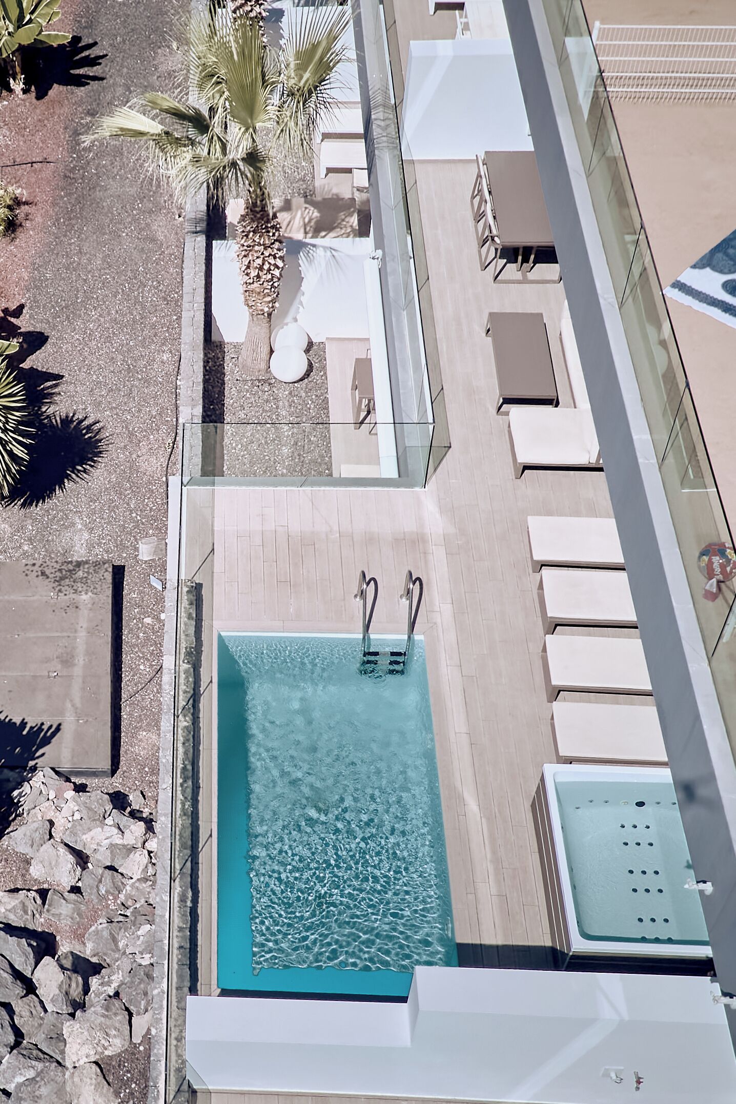 A rooftop pool with clear water, surrounded by lounge chairs and palm trees.