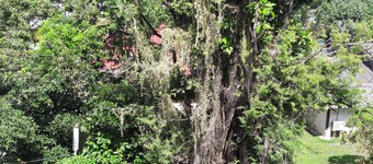 Loveli Boutique Guesthouse