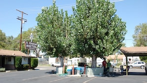 A motel with a large tree in front, a signboard, and a parking area with a few people and parked cars.