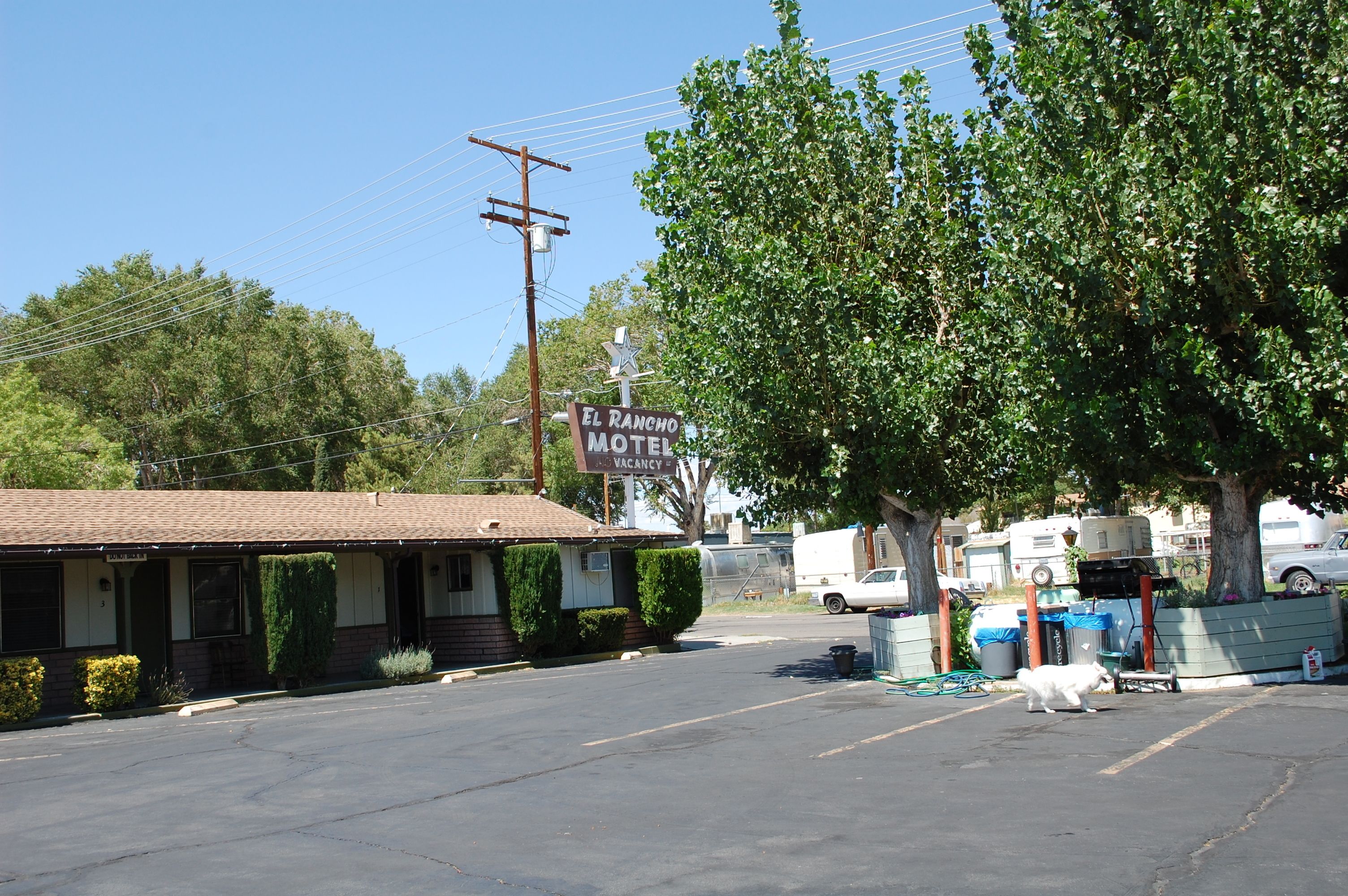 Un motel con un letrero que indica habitaciones disponibles, un estacionamiento y un árbol al frente.