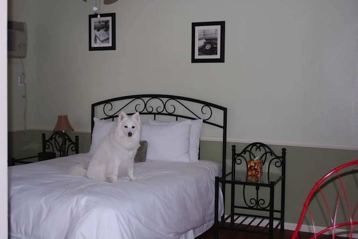 Kamer, 1 queensize bed, keuken | Lakens van Egyptisch katoen, luxe beddengoed, donzen dekbedden