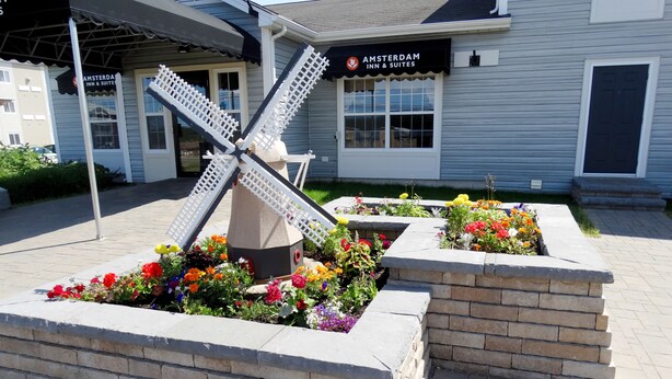 Un molino de viento en un parterre de flores con un letrero de Amsterdam Inn & Suites.