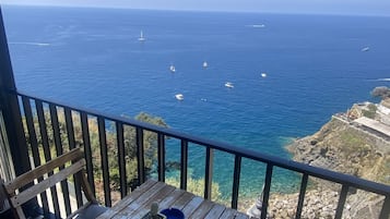 Dobbeltrom – deluxe, sjøutsikt (Sol) | Terrasse/patio