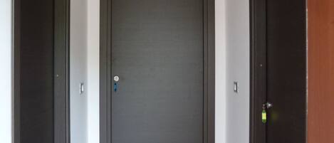 Un pasillo con puertas de madera oscura, una lámpara de techo blanca y piso de madera.