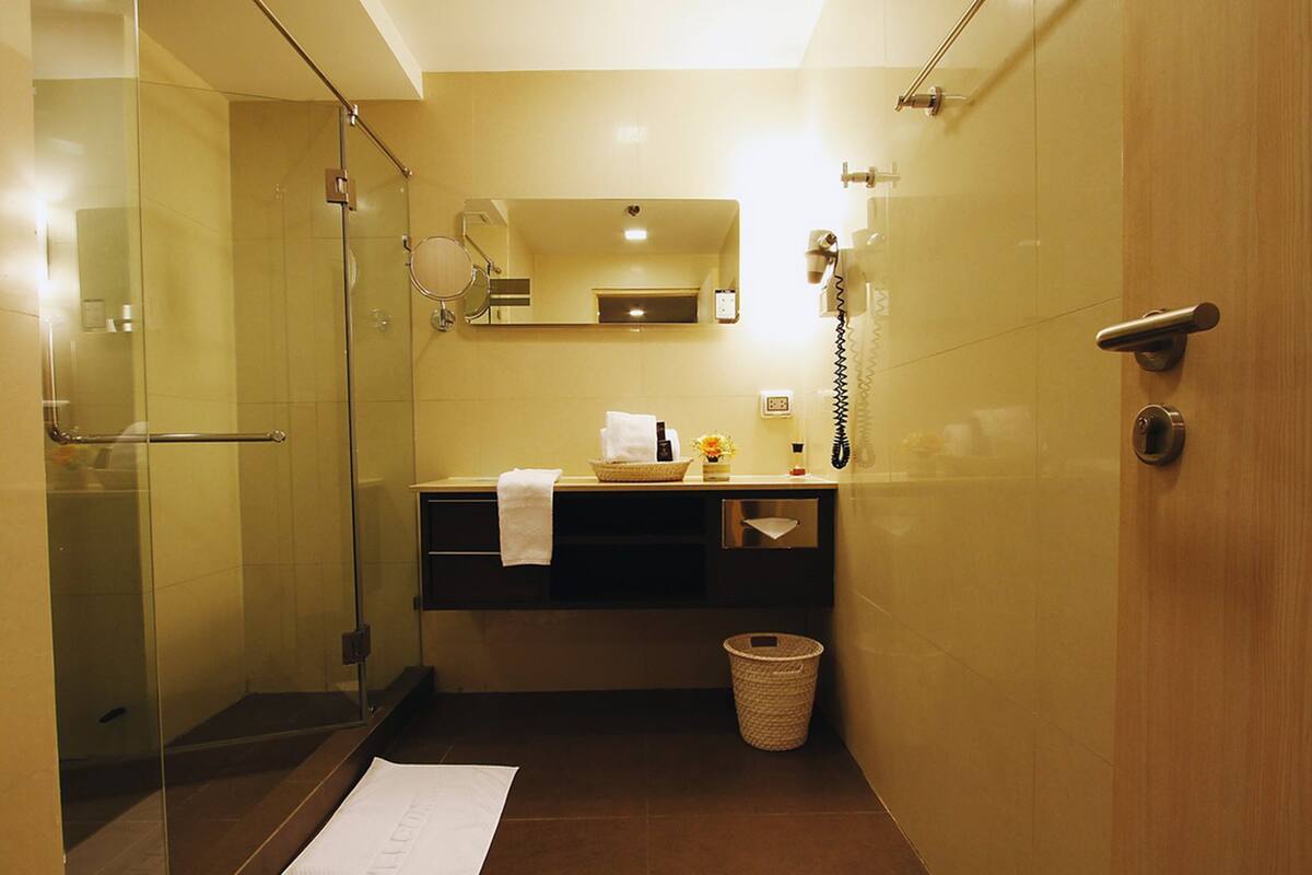 shower, free toiletries, hair dryer, slippers