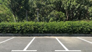 Un parking avec des places délimitées et une haie en arrière-plan.
