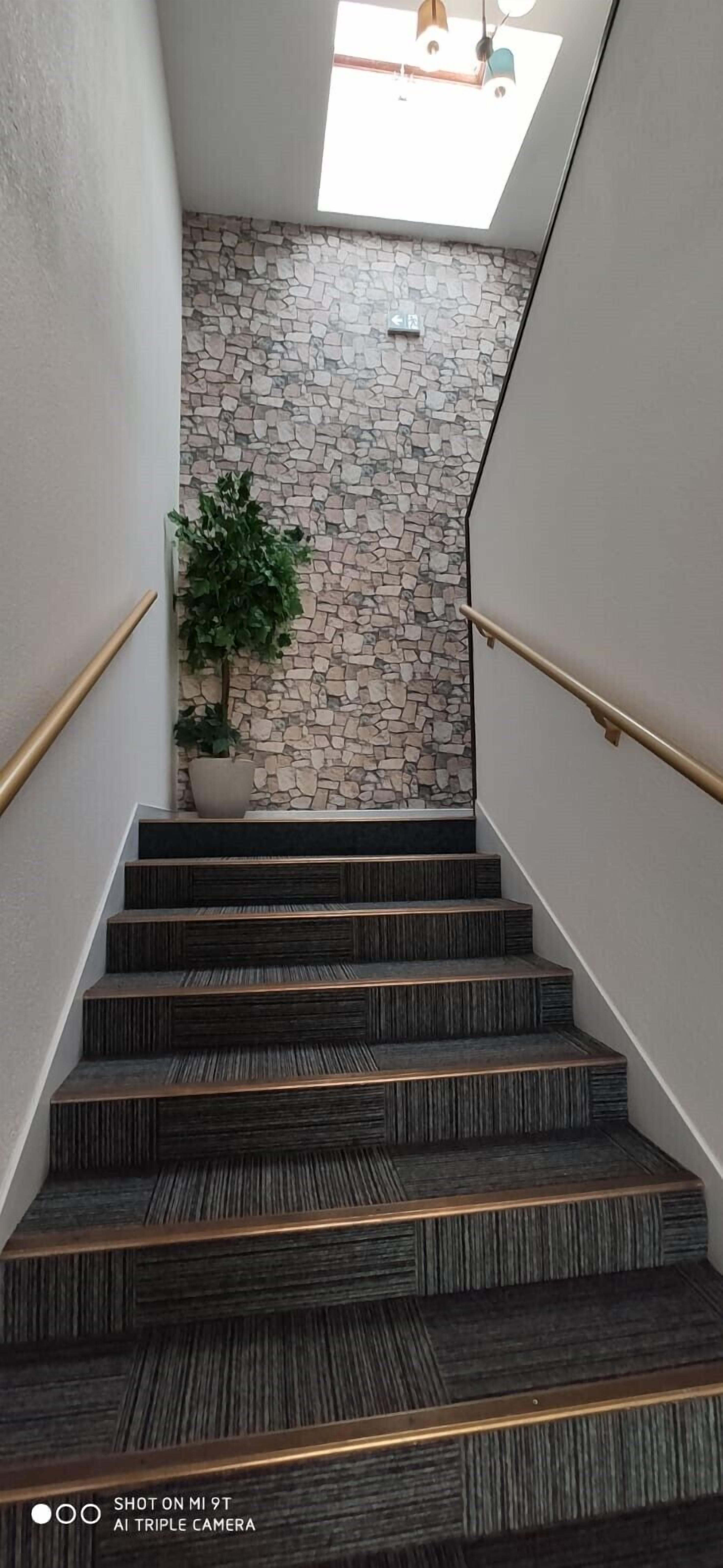 Un escalier avec un mur en pierre et une plante en pot.