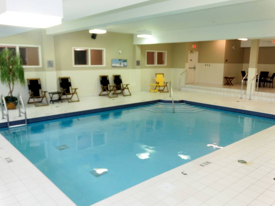 An indoor swimming pool with lounge chairs and a sunbed.