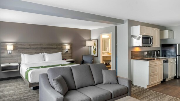 A modern hotel room with a sofa, a bed, a desk, and a kitchenette.