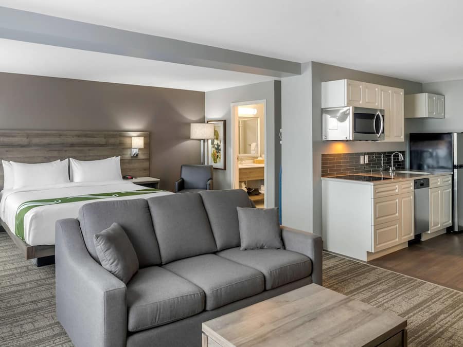 Efficiency Suite with King Bed and Sofa Bed - Non-Smoking | Premium bedding, minibar, in-room safe, desk