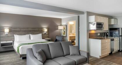 Quality Inn & Suites Amsterdam
