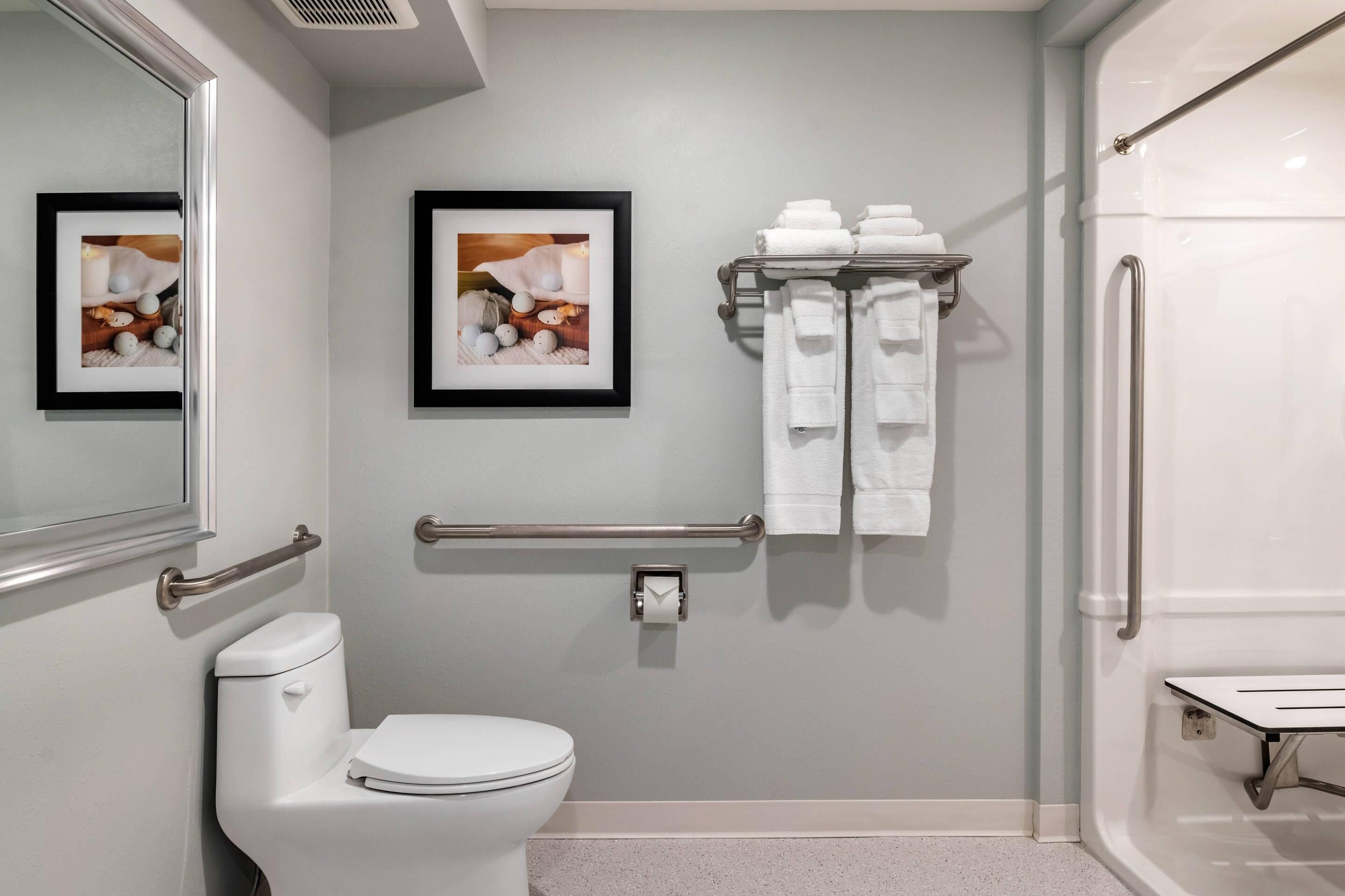 Un bagno con un water, quadri appesi al muro, un portasciugamani con asciugamani piegati e una zona doccia dotata di maniglione.