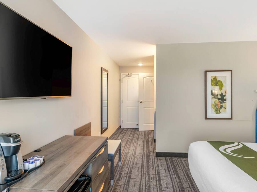 Camera d'albergo con televisione a schermo piatto, macchina del caffè, scrivania, sedia, letto con copripiumino verde e bianco e un quadro appeso al muro.