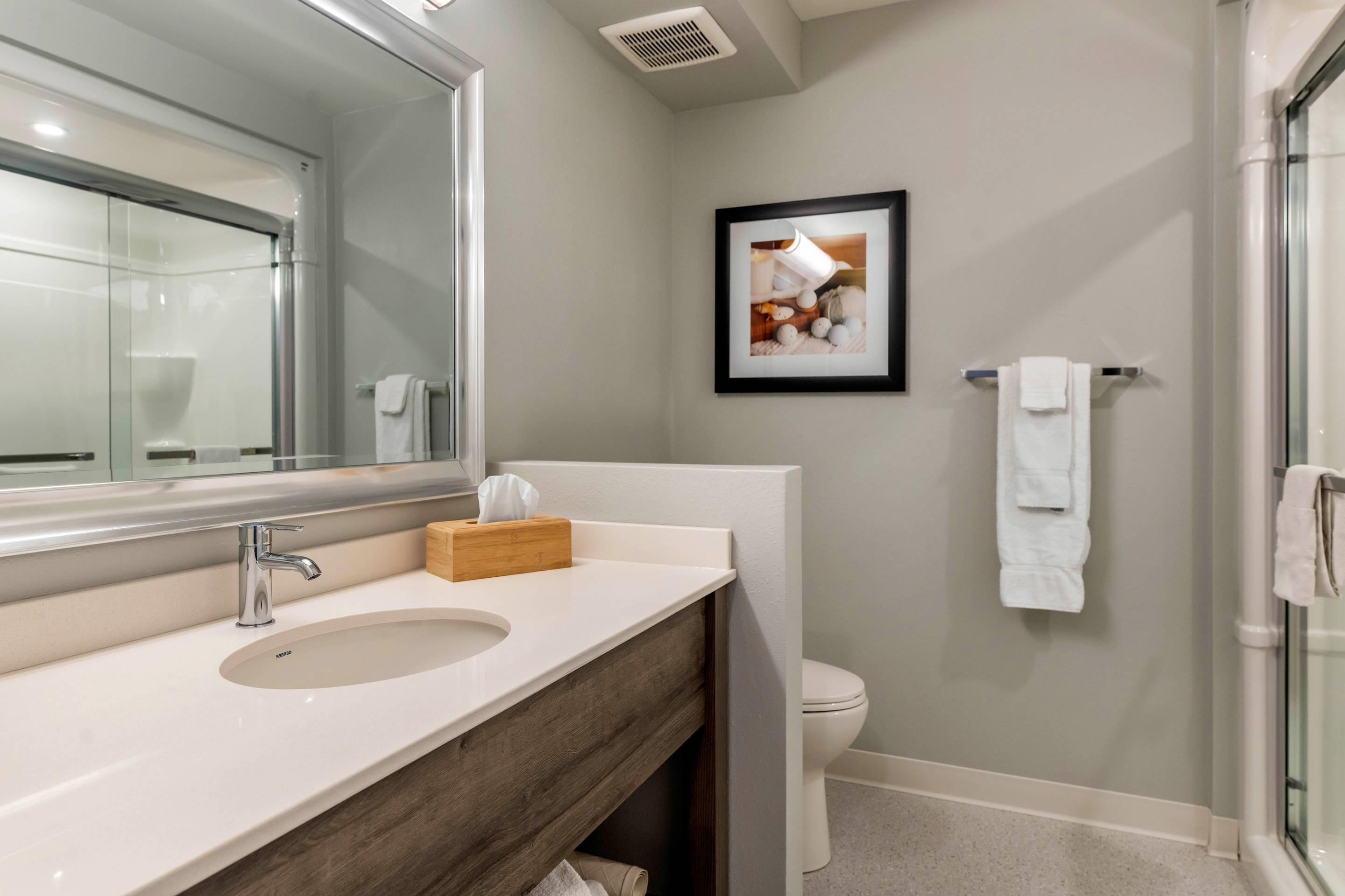 A modern bathroom with a large mirror, two sinks, a toilet, and a shower.