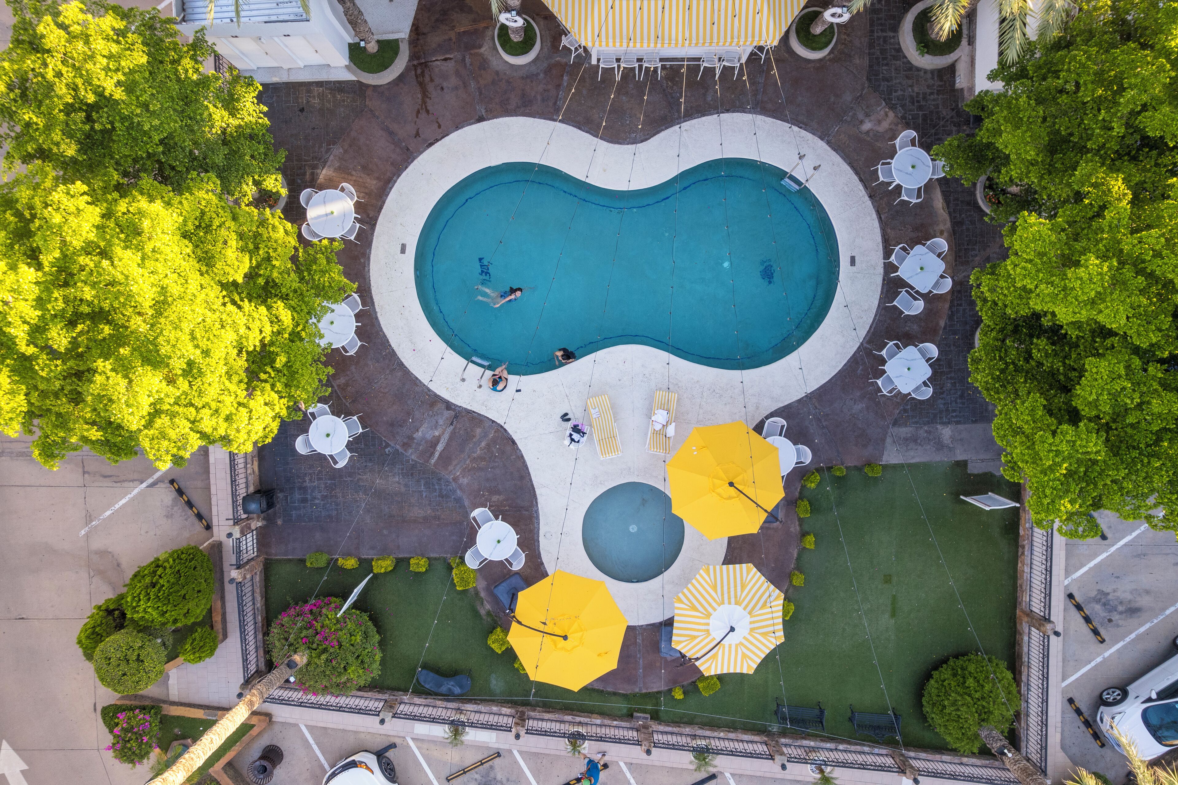 室外泳池；躺椅