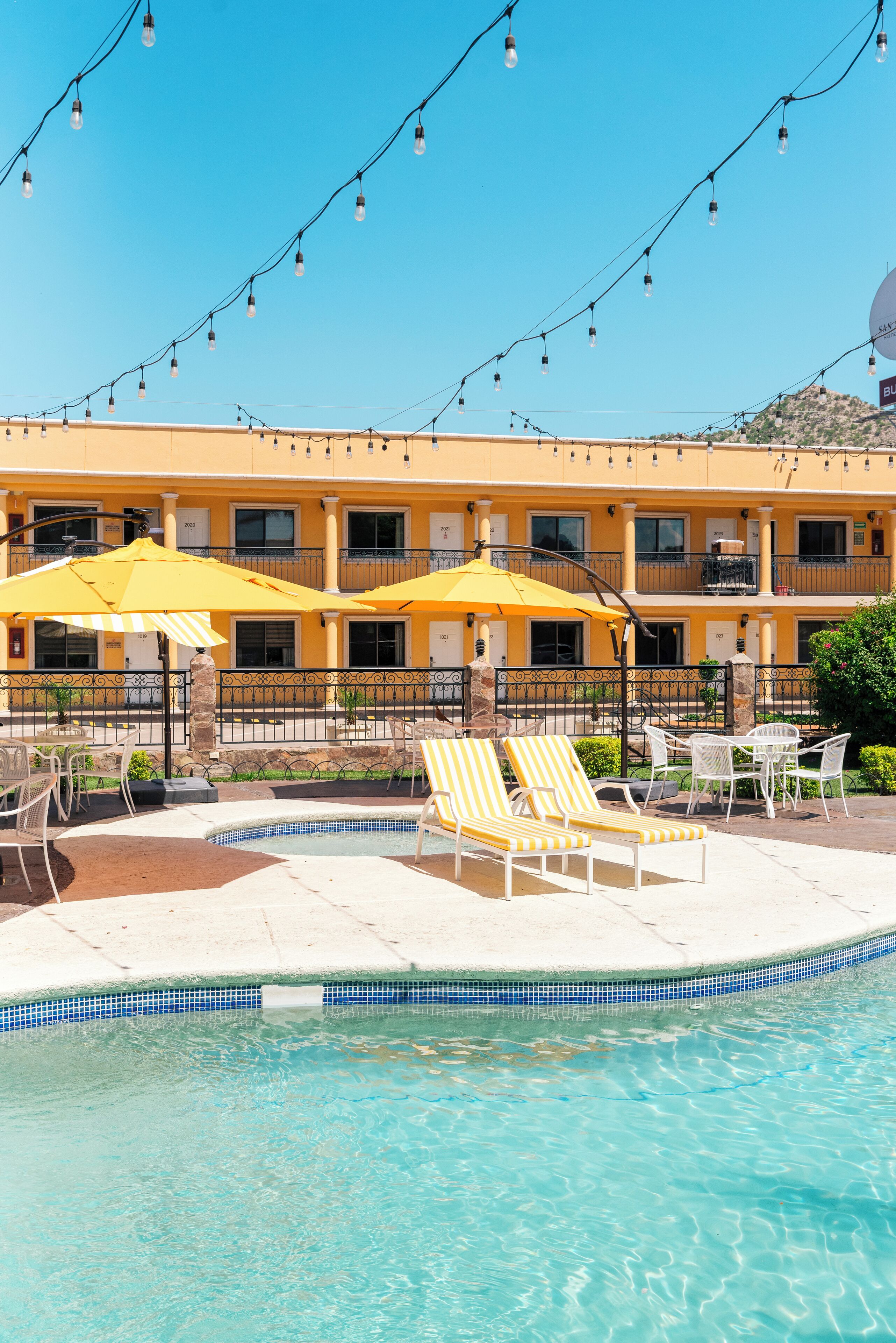 Outdoor pool, sun loungers