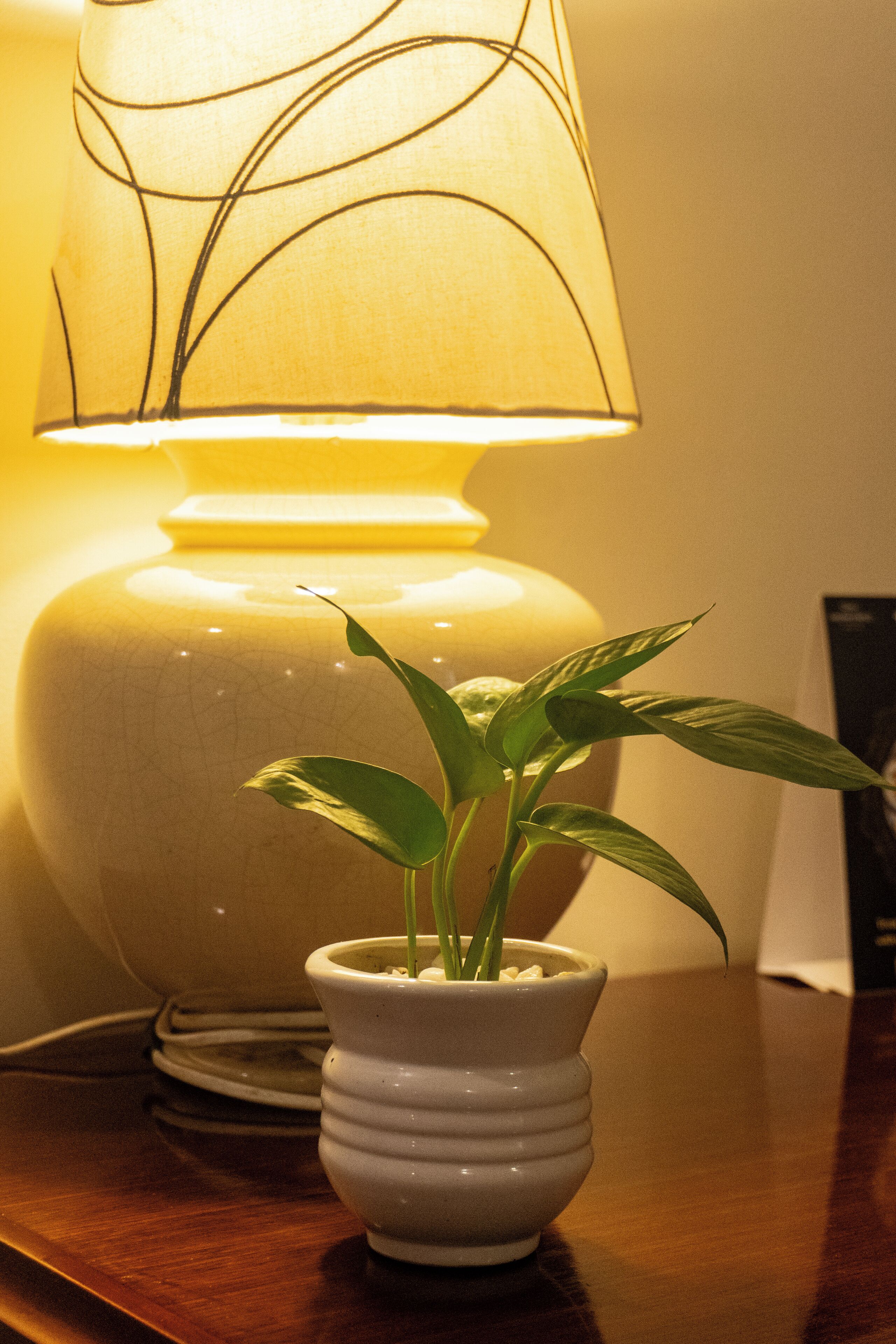 club room, 1 double bed | premium bedding, minibar, in-room safe, desk