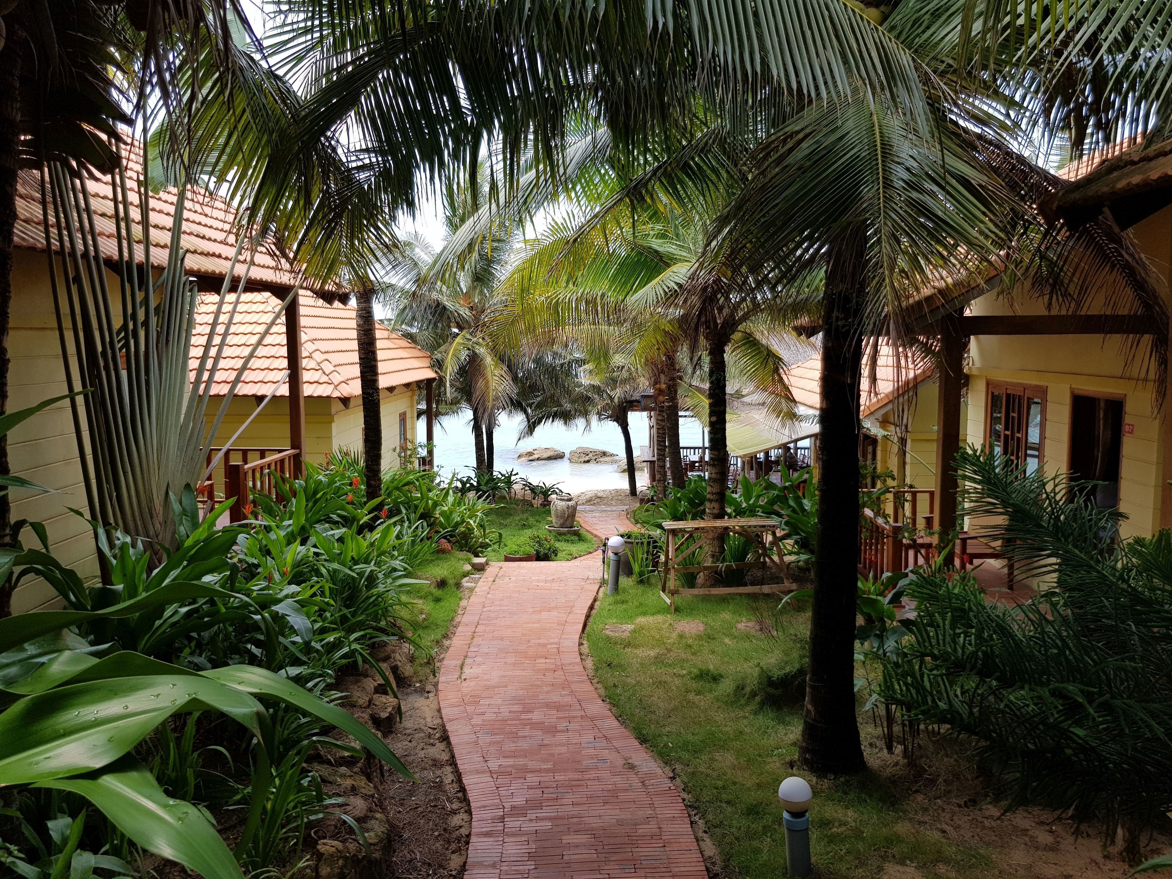 A pathway leading to a beach with palm trees and a thatched-roof building.
