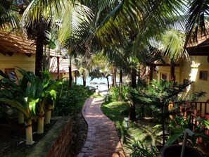 Property grounds - Viet Thanh Resort (Phu Quoc)