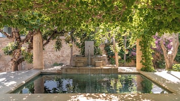 حديقة