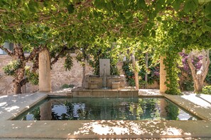 Garden - Villa Andromeda (Chania)