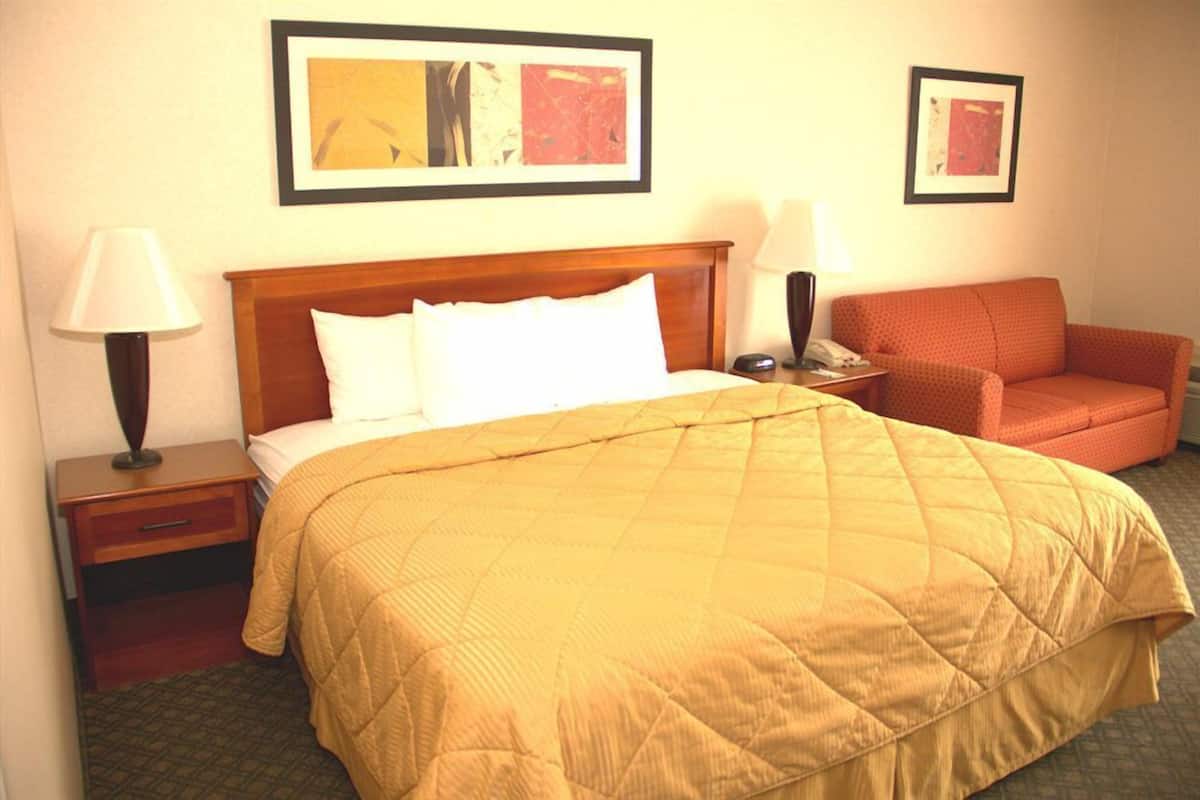 A hotel room with a bed, a nightstand, a lamp, a phone, a sofa, and two framed pictures on the wall.
