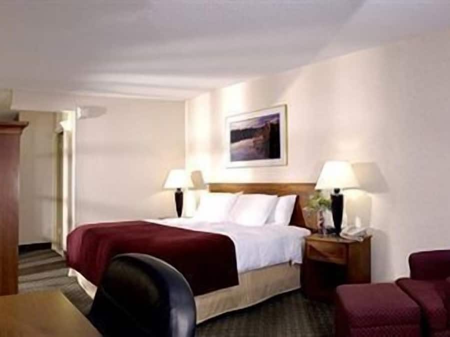 Blackout drapes, free WiFi, bed sheets, alarm clocks