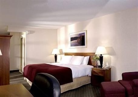 Habitación | Cortinas opacas, wifi gratis, ropa de cama y despertador. Travelers Inn