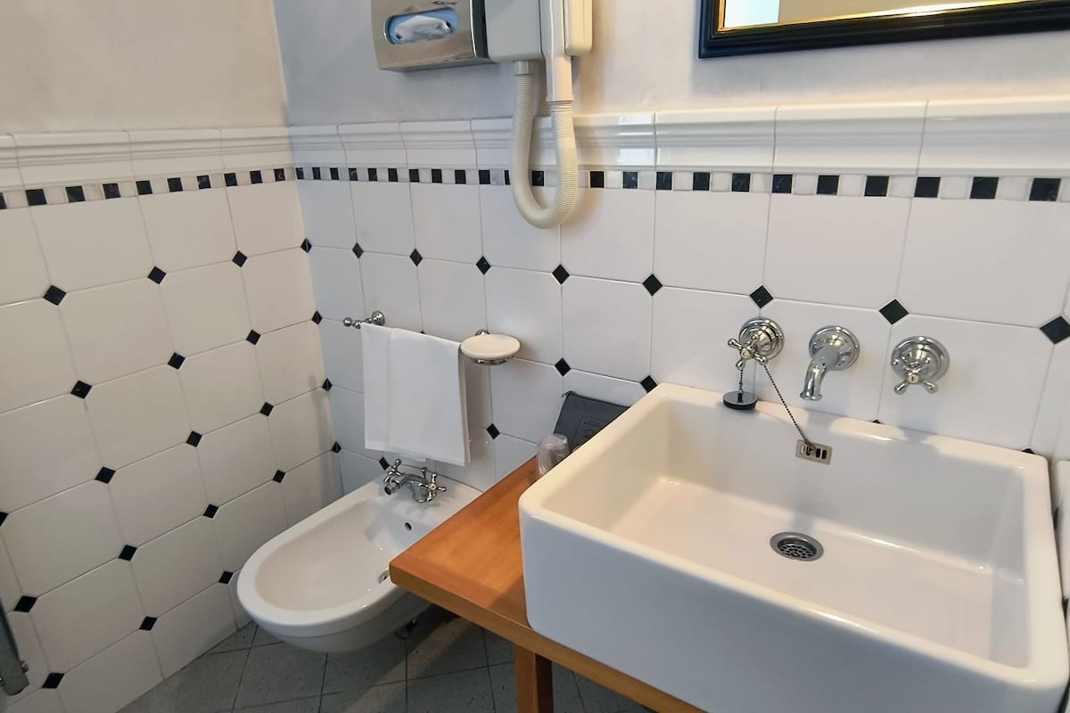 hydromassage showerhead, free toiletries, hair dryer, bidet