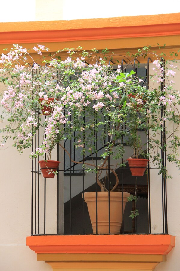 A window with a potted plant and a large flower pot. - Hotel Ciudad Real Centro Histórico (San Cristóbal de las Casas)