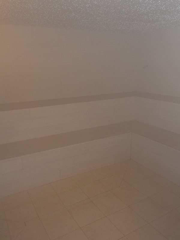 Sauna, body treatments, aromatherapy, facials, Ayurvedic treatments