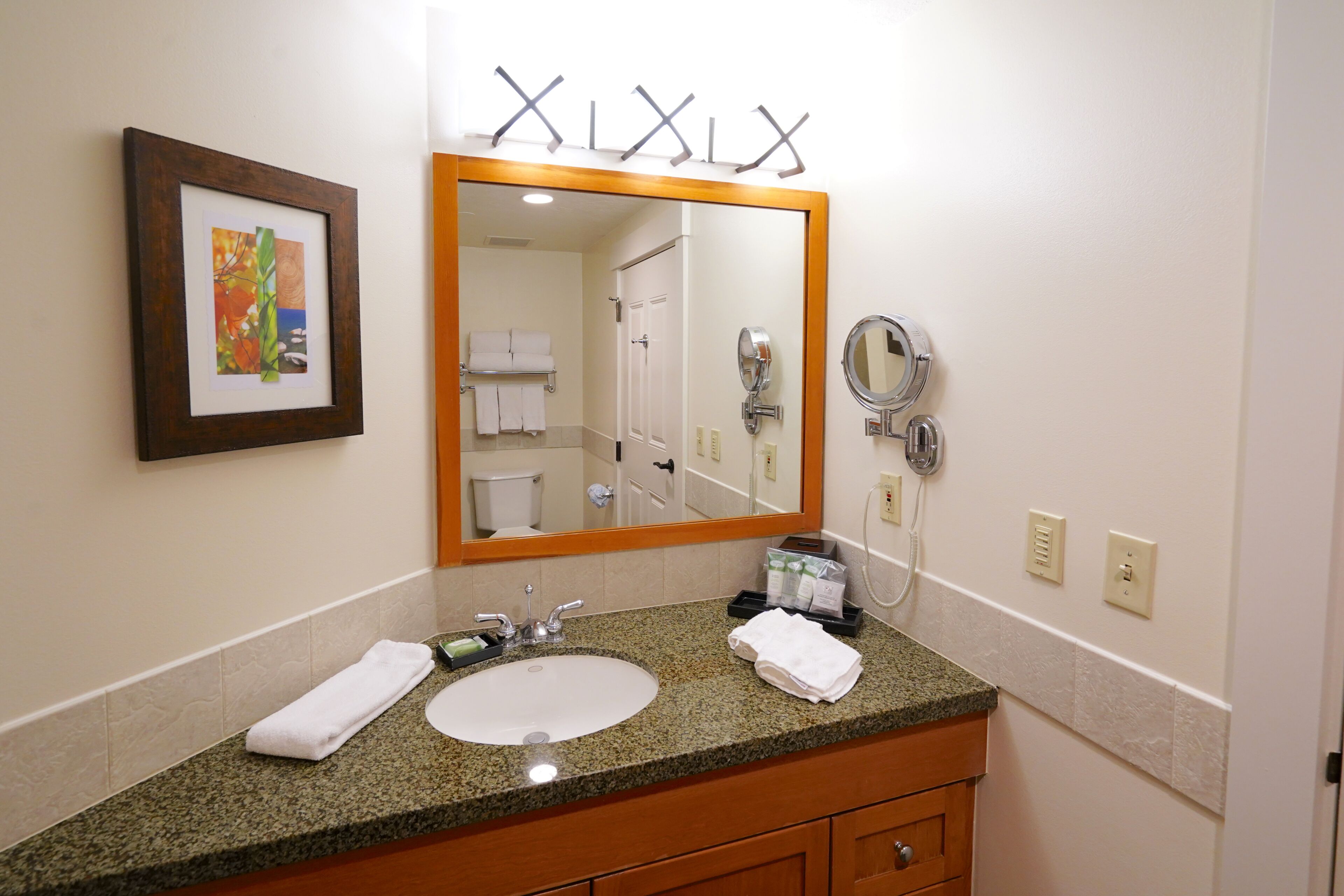 Baño de hotel con lavamanos de encimera de granito, un espejo grande, una obra de arte enmarcada y un perchero para toallas.