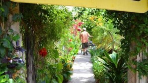 Een pad dat leidt naar Hotel Mikaso, omringd door weelderige begroeiing en diverse planten.
