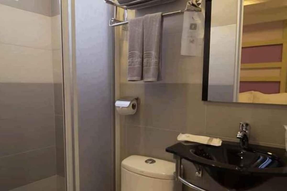 Shower, bidet, towels, soap